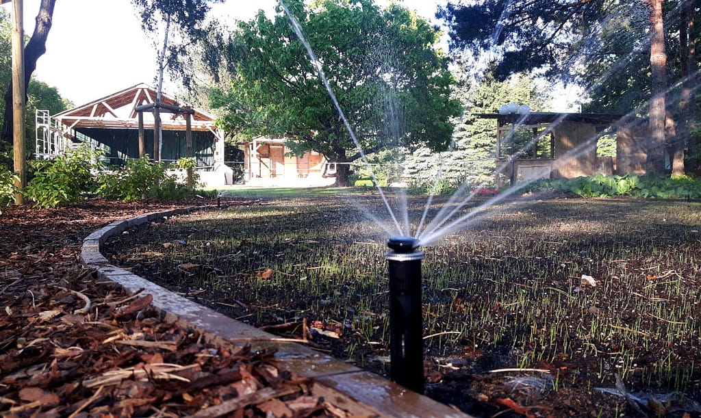 Nowy trawnik nawadniany zraszaczami i pierwsze źdźbła trawy