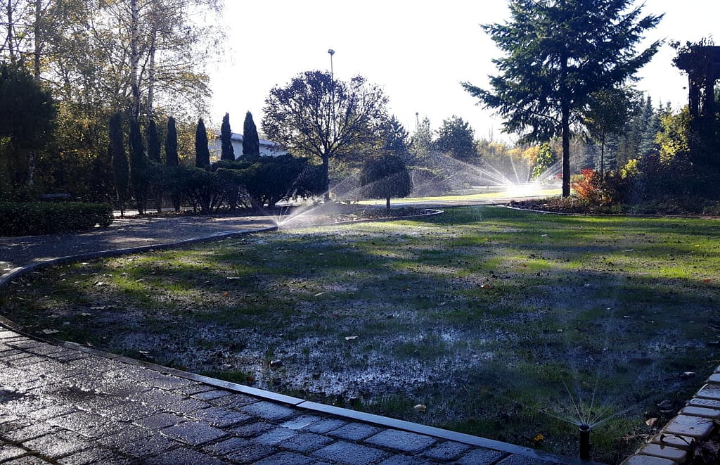 Nowy trawniki nawadniane zraszaczami rotacyjnymi i młoda trawa