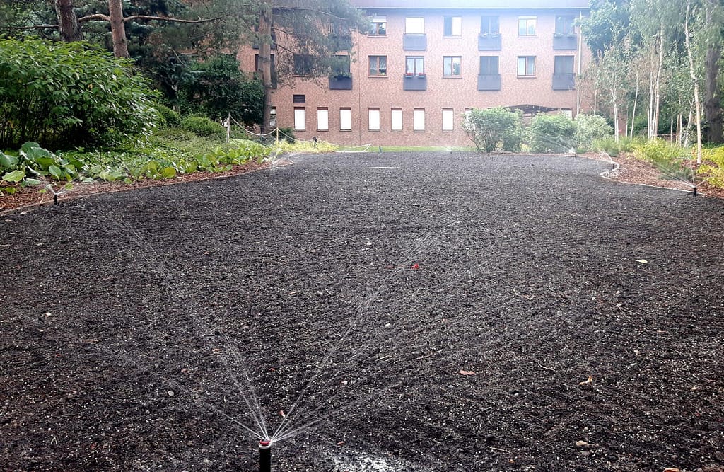 Nowy trawnik nawadniany zraszaczami