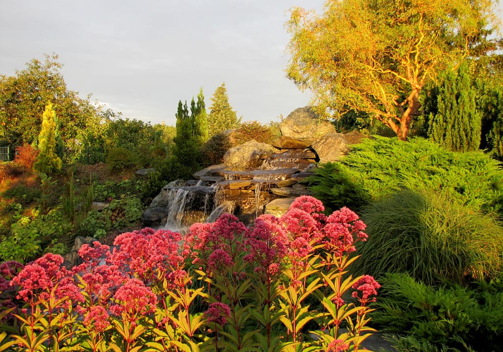 Przy zachodzącym słońcu