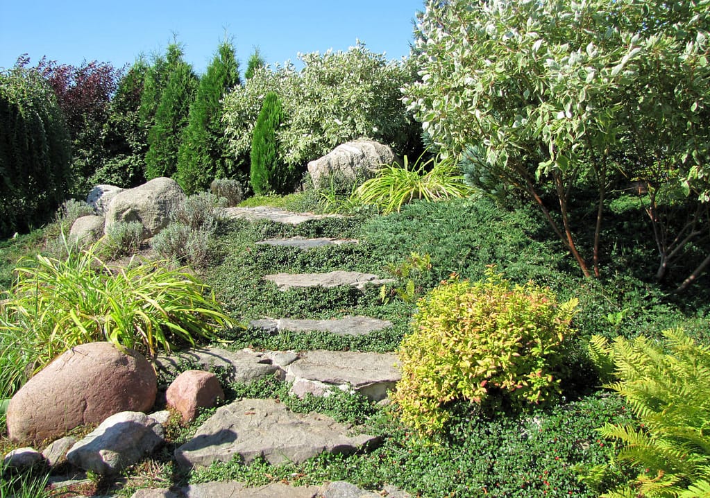 Kamienie polne też są urokliwe