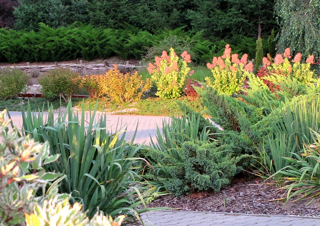 Tło i pierwszy plan