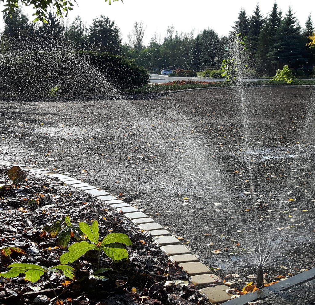 Nowy trawnik nawadniany zraszaczami rotacyjnymi MP Rotator