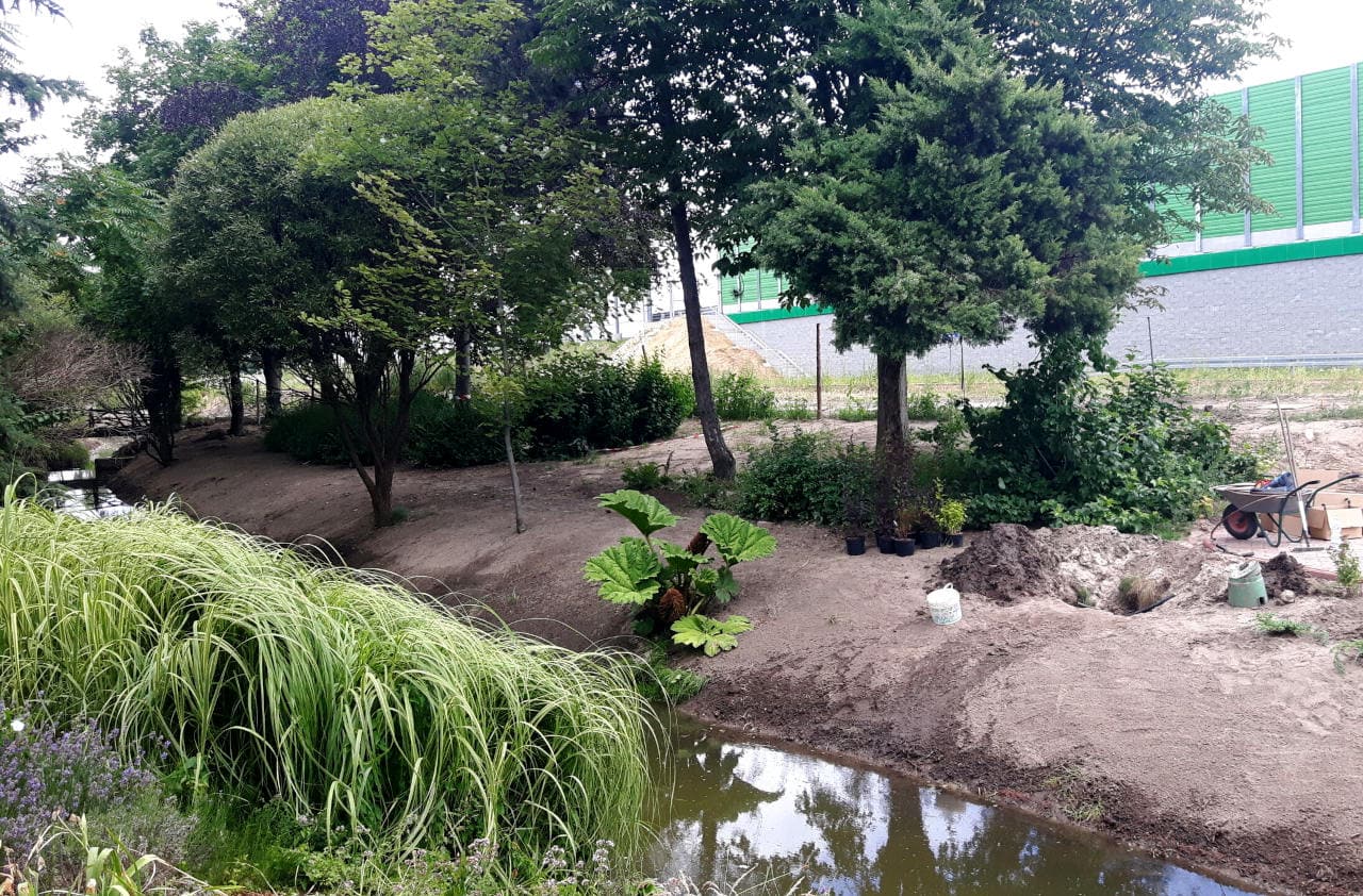 Przemiany na rabatach przy rzeczce