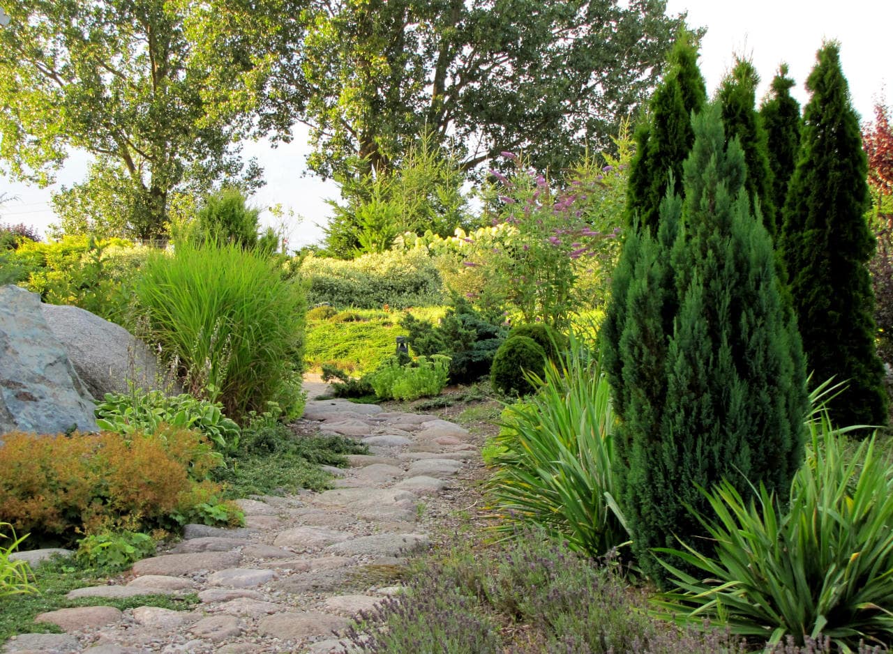 Formy i struktury roślin i pomiędzy ścieżka kamienna